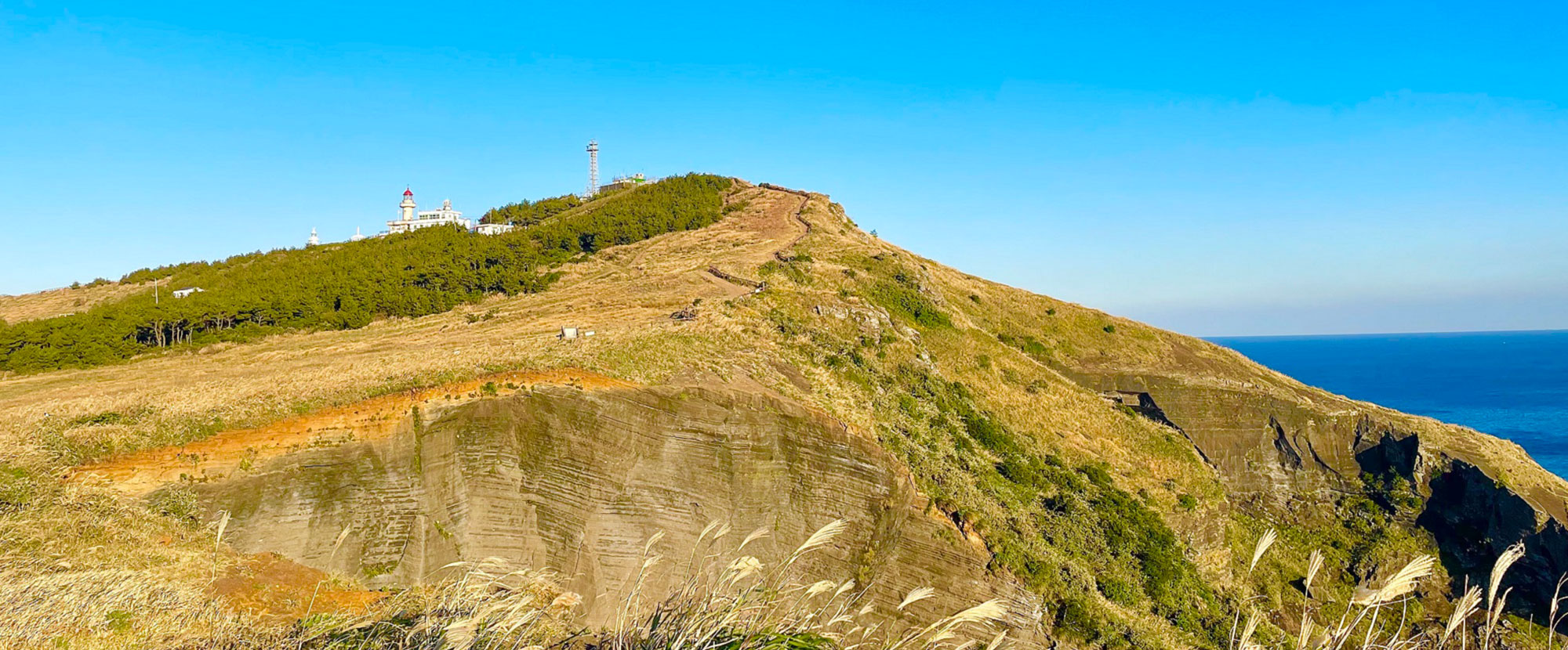 Second research result visualization